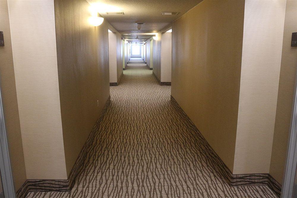 Comfort Suites New Braunfels Exterior foto