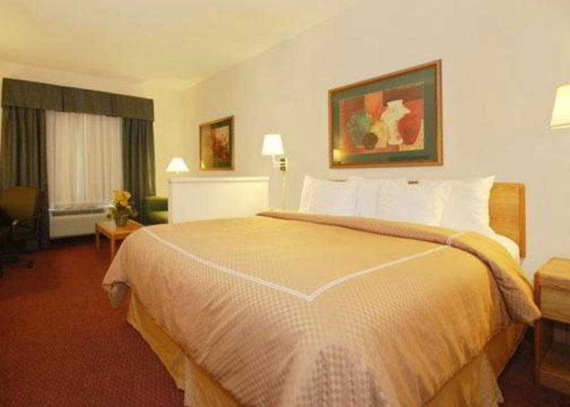 Comfort Suites New Braunfels Quarto foto